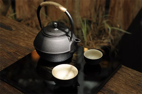 ヤナギの種類完全ガイド：人気品種の選び方と育て方のコツ