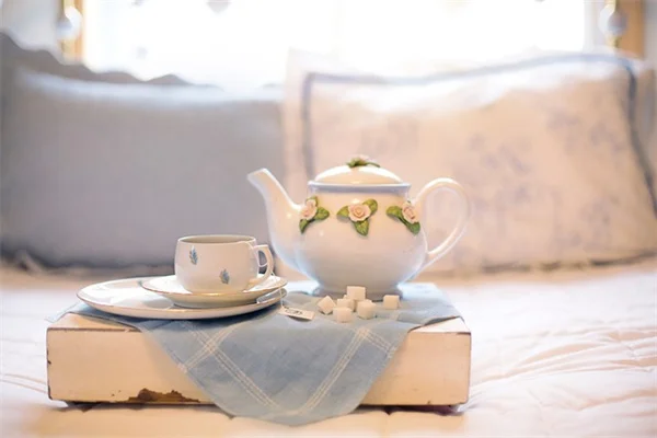 冬の挿し木はできる？私が実践する6つの植物と成功のコツ